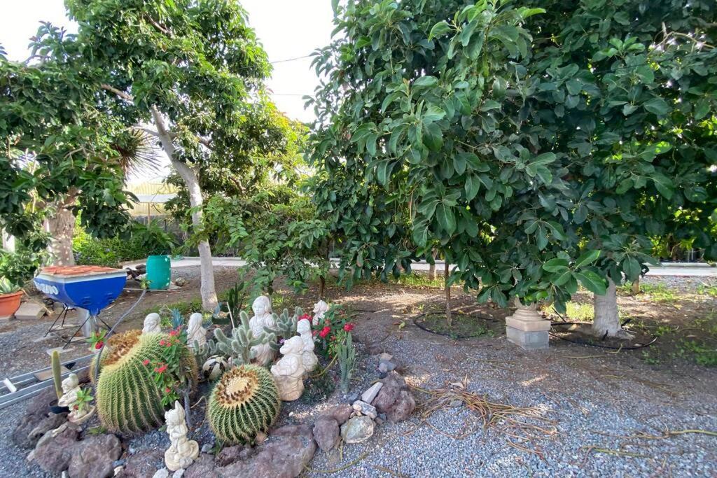 2 Apartments With Private Pool At Villa Diaz Aleman Salobre  Bagian luar foto